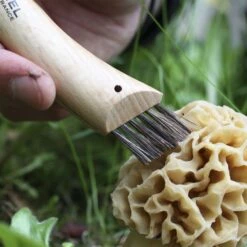 Opinel N°08 Mushroom Knife -Snowys Shop 1223601 mushroom knife no08 stainless steel 8cm individual box