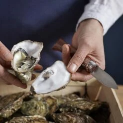 Opinel N°09 Oyster Knife -Snowys Shop 1223606 oysters and shellfish knife no09 stainless steel 65cm