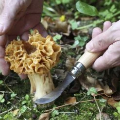 Opinel N°08 Mushroom Knife -Snowys Shop 1223754 n08 mushroom knife