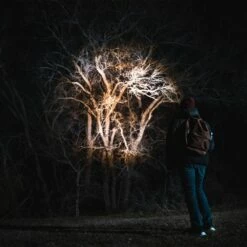 NEBO Franklin Slide 500 Rechargeable Flashlight And Work Light -Snowys Shop 1230643 franklin slide 500 rechargeable flashlight and work light