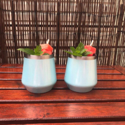 Avanti Double Wall Insulated Celebration Tumbler 350ml -Snowys Shop 1265960 celebrations tumbler 350ml pearlised duck egg blue